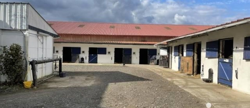 Haras 5 pièces de 140 m² à Bouafles (27700)