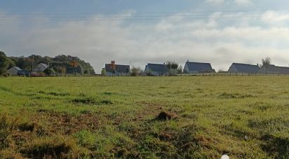 Land of 10,102 m² in Authon (41310)