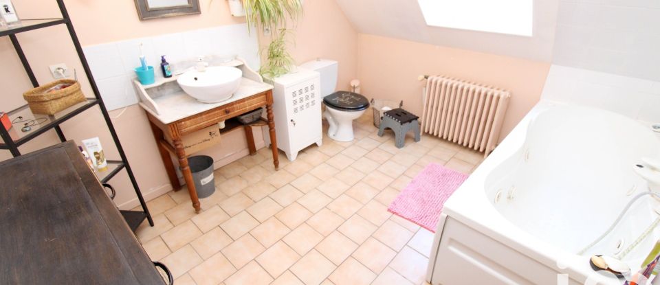 Maison de campagne 8 pièces de 230 m² à Pontlevoy (41400)