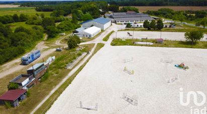 Domaine 12 pièces de 375 m² à Sandillon (45640)