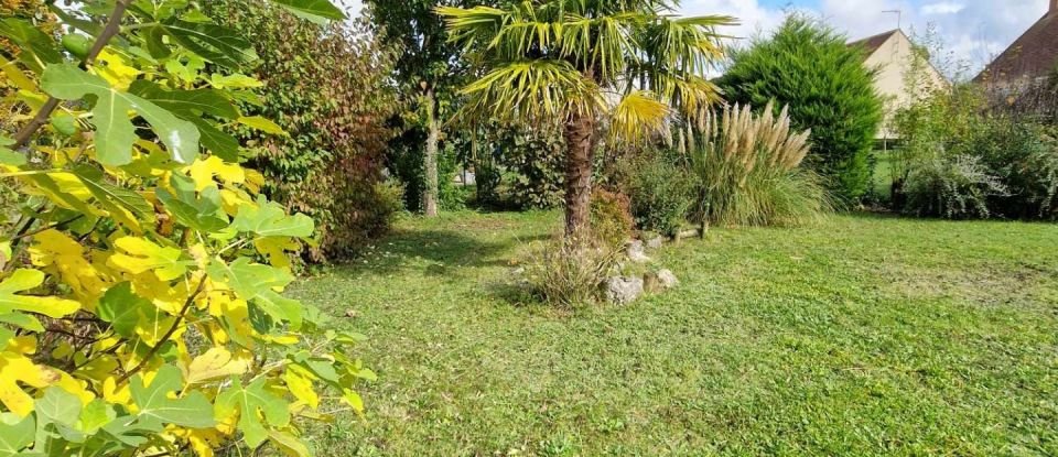 Traditional house 5 rooms of 100 m² in Saint-Benoît-sur-Loire (45730)