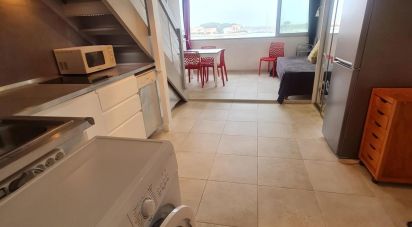 Appartement 1 pièce de 27 m² à Saint-Cyprien (66750)