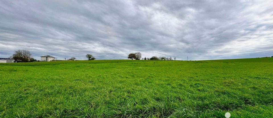 Terrain de 2 426 m² à Hennecourt (88270)