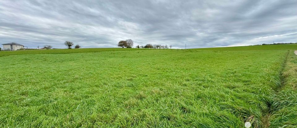 Terrain de 2 426 m² à Hennecourt (88270)