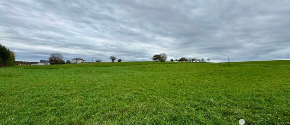 Terrain de 2 426 m² à Hennecourt (88270)