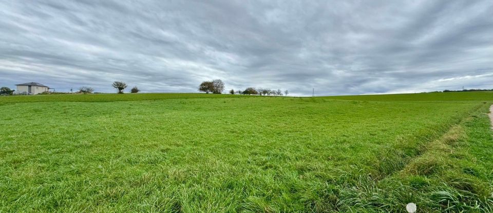 Terrain de 2 426 m² à Hennecourt (88270)