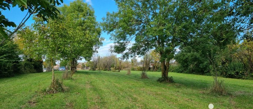 Terrain de 5 278 m² à Coussay (86110)