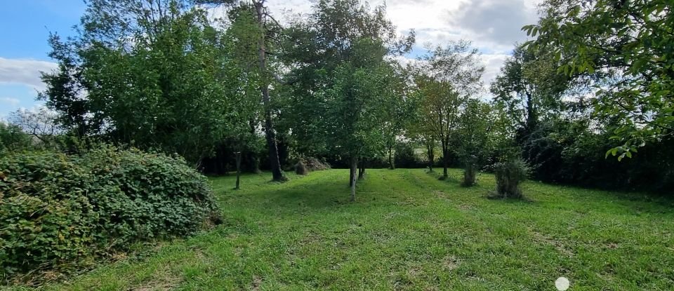 Land of 5,278 m² in Coussay (86110)