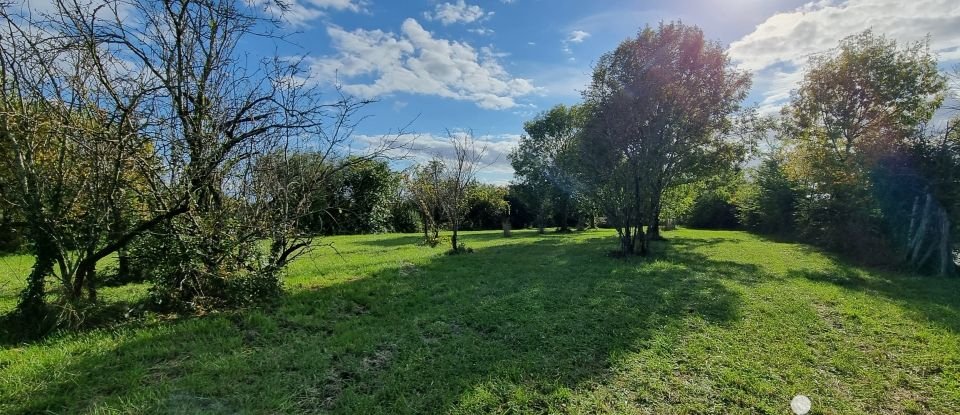 Land of 5,278 m² in Coussay (86110)