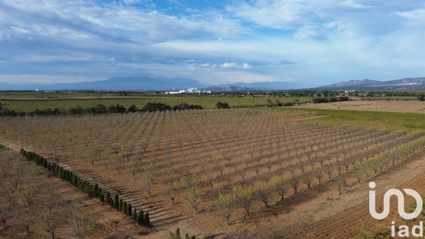 Terrain agricole de 24 624 m² à Salses-le-Château (66600)