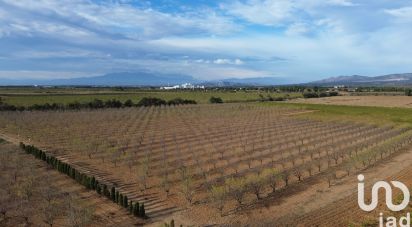 Terrain agricole de 24 624 m² à Salses-le-Château (66600)