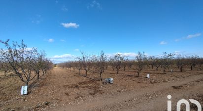 Terrain agricole de 24 624 m² à Salses-le-Château (66600)