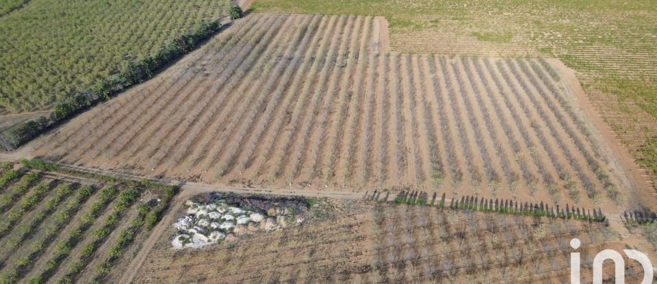 Terrain agricole de 24 624 m² à Salses-le-Château (66600)