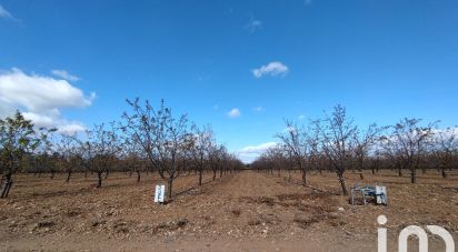 Terrain agricole de 24 624 m² à Salses-le-Château (66600)