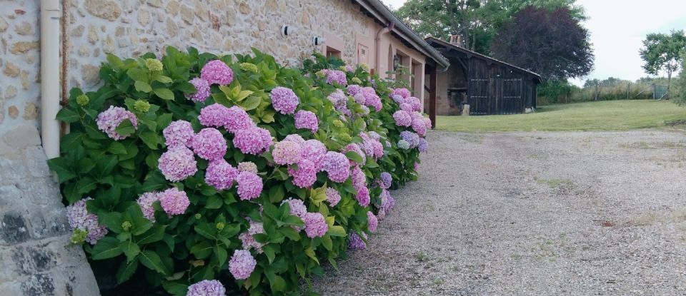 Demeure 15 pièces de 441 m² à Bazas (33430)