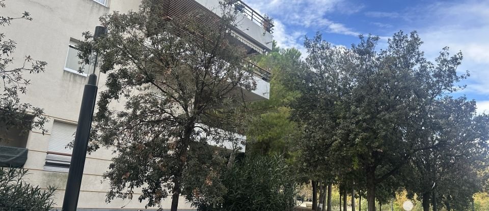 Studio 1 pièce de 23 m² à Montpellier (34000)