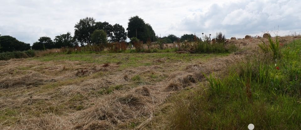 Maison de campagne 5 pièces de 114 m² à Plouigneau (29610)