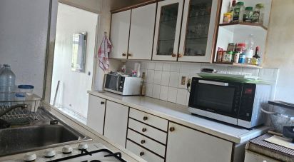 Apartment 4 rooms of 80 m² in Les Abymes (97139)