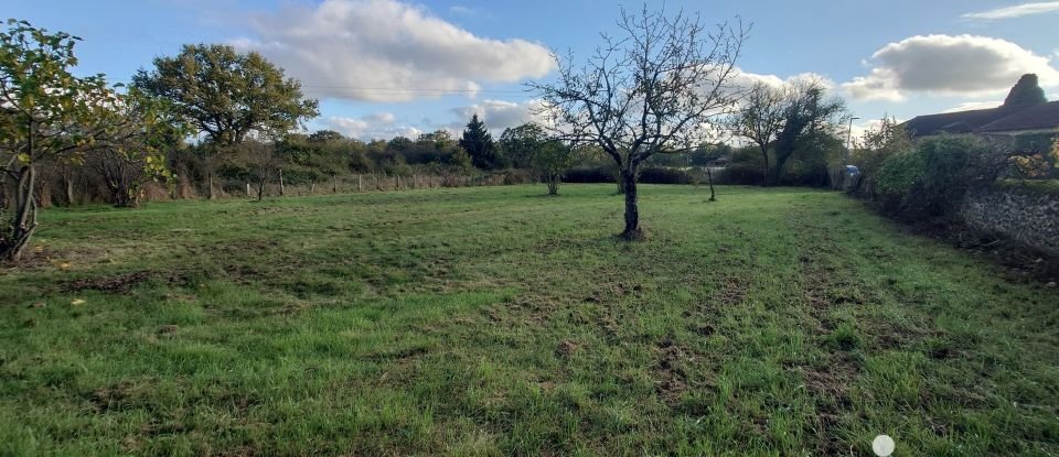 Land of 1,498 m² in Plaisance (86500)