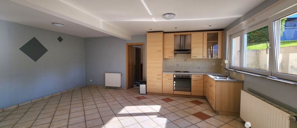 Immeuble de 290 m² à Diebling (57980)