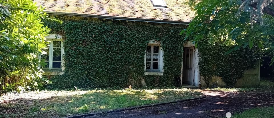 Maison 20 pièces de 288 m² à Selles-sur-Cher (41130)