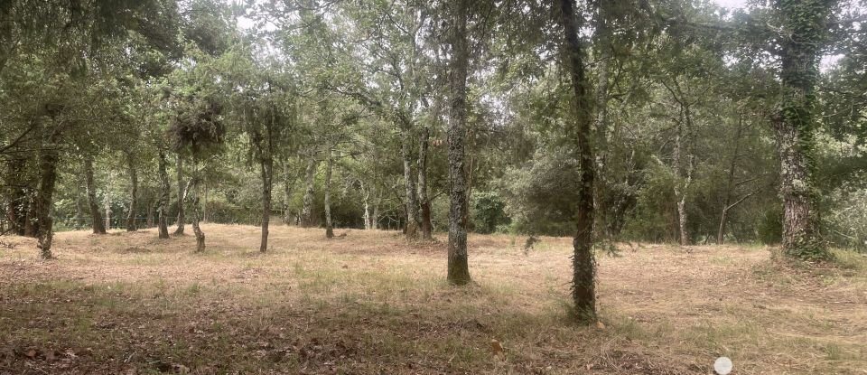 Land of 4,376 m² in Lagorce (07150)