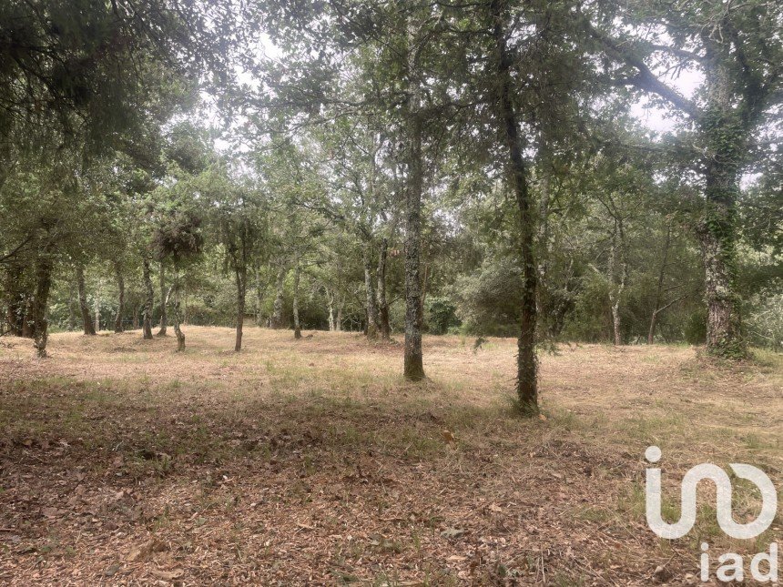 Land of 6,856 m² in Lagorce (07150)