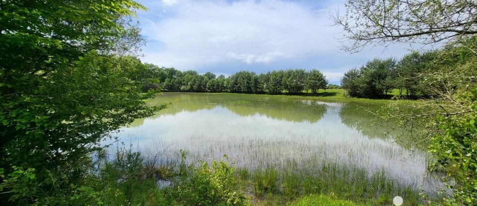 Terrain Loisirs de 42 180 m² à Montereau (45260)