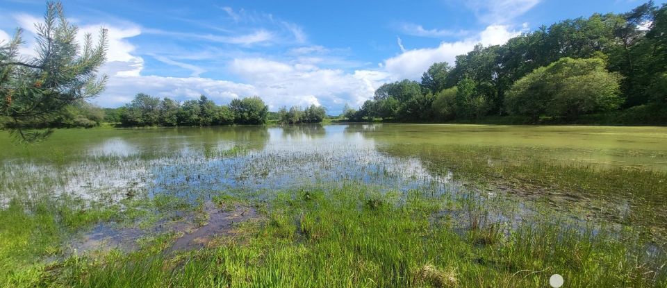 Terrain Loisirs de 42 180 m² à Montereau (45260)