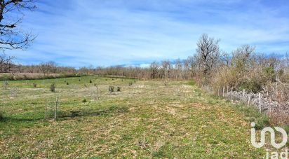 Truffle farm of 10,850 m² in Lalbenque (46230)