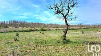 Truffle of 10,850 m² in Lalbenque (46230)