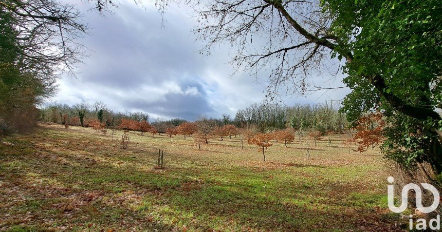 Truffière de 11 755 m² à Bach (46230)