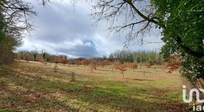 Truffière de 11 755 m² à Bach (46230)