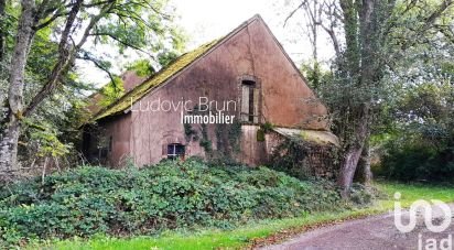 Maison de campagne 3 pièces de 68 m² à Tannerre-en-Puisaye (89350)