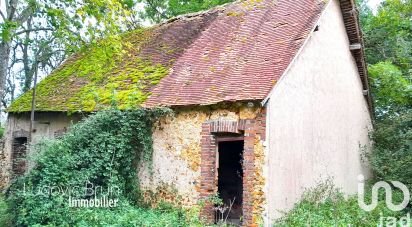 Maison de campagne 3 pièces de 68 m² à Tannerre-en-Puisaye (89350)