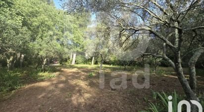 Maison traditionnelle 5 pièces de 160 m² à Nîmes (30000)