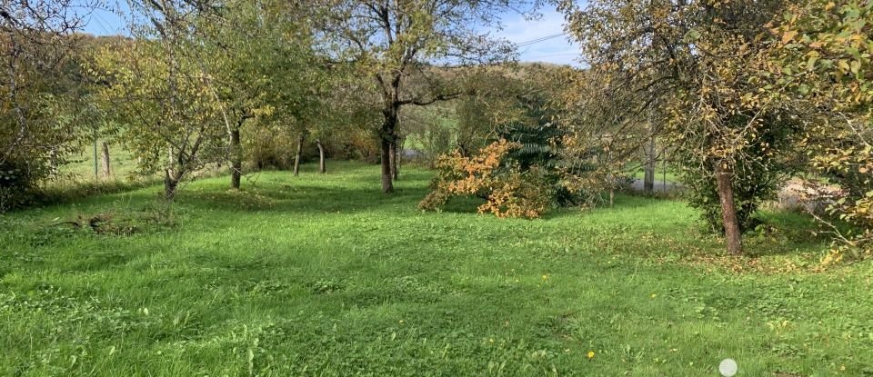 Land of 953 m² in VAUX-LA-DOUCE (52400)