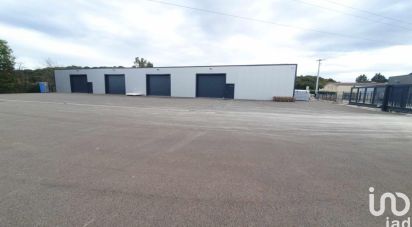 Business premises of 3,500 m² in Valcourt (52100)