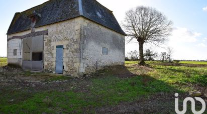 Barn conversion 9 rooms of 336 m² in Manthelan (37240)