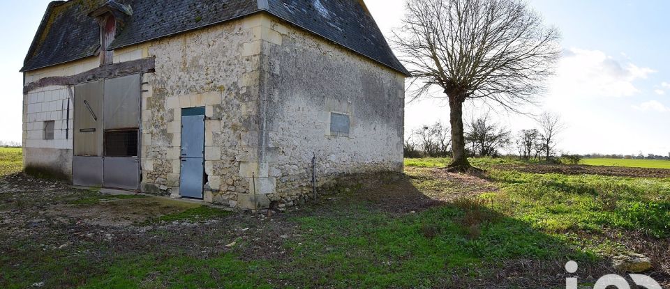 Barn conversion 9 rooms of 336 m² in Manthelan (37240)