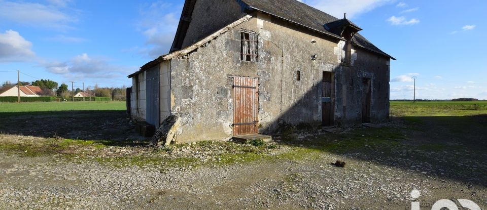 Grange 9 pièces de 336 m² à Manthelan (37240)