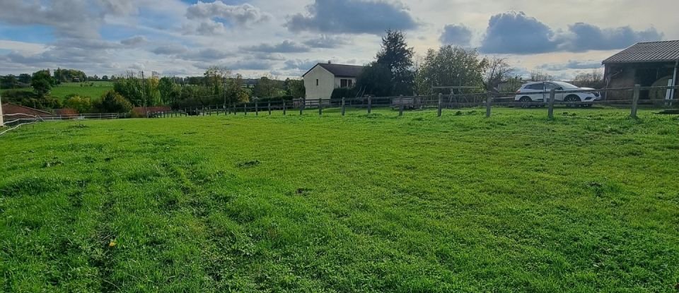 Terrain de 2 435 m² à Brin-sur-Seille (54280)