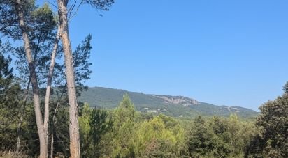 Terrain de 22 990 m² à Le Cannet-des-Maures (83340)