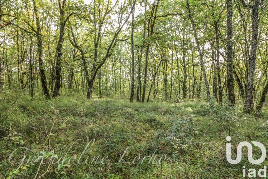 Land of 247,635 m² in Puy-l'Évêque (46700)