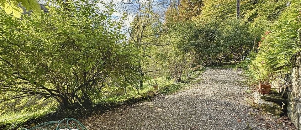 Maison traditionnelle 7 pièces de 217 m² à Montanges (01200)