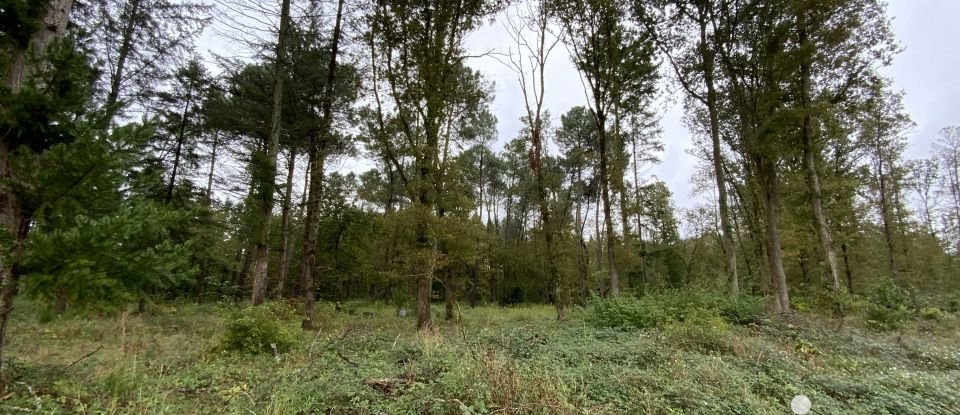 Terrain Loisirs de 35 000 m² à Lassay-sur-Croisne (41230)