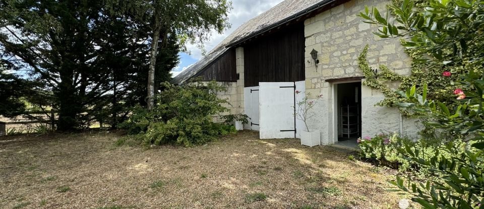 Maison de campagne 7 pièces de 128 m² à Chouzé-sur-Loire (37140)