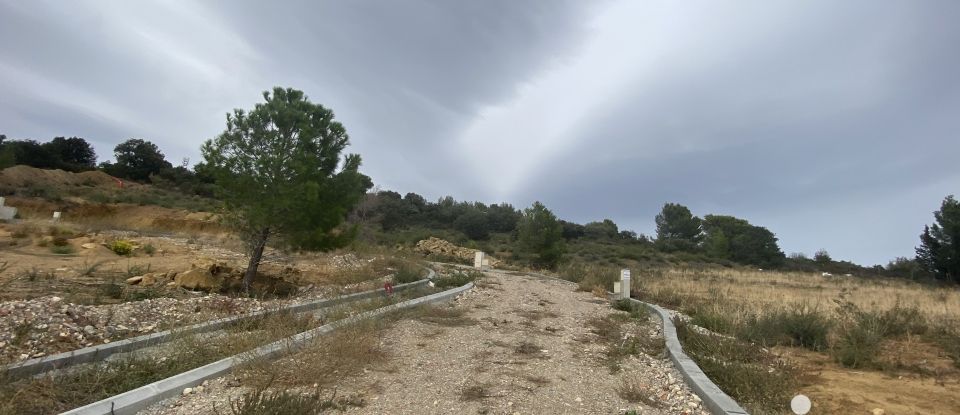 Terrain de 1 027 m² à Saint-André-de-Roquelongue (11200)