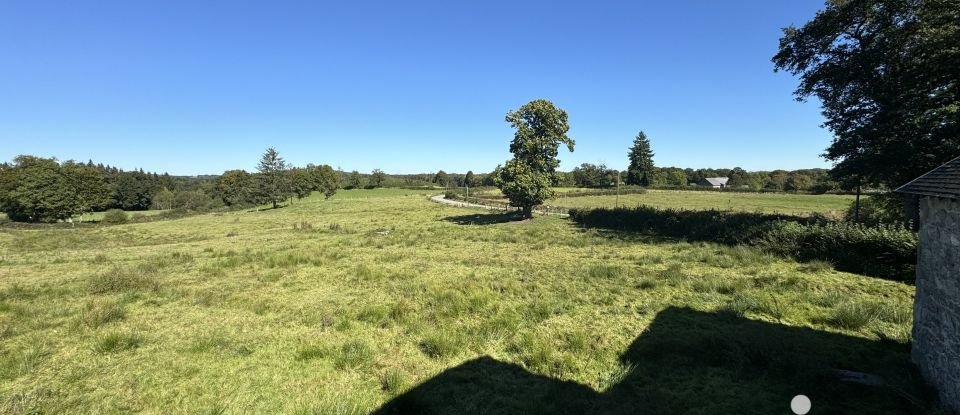 Longère 6 pièces de 130 m² à Saint-Avit (63380)