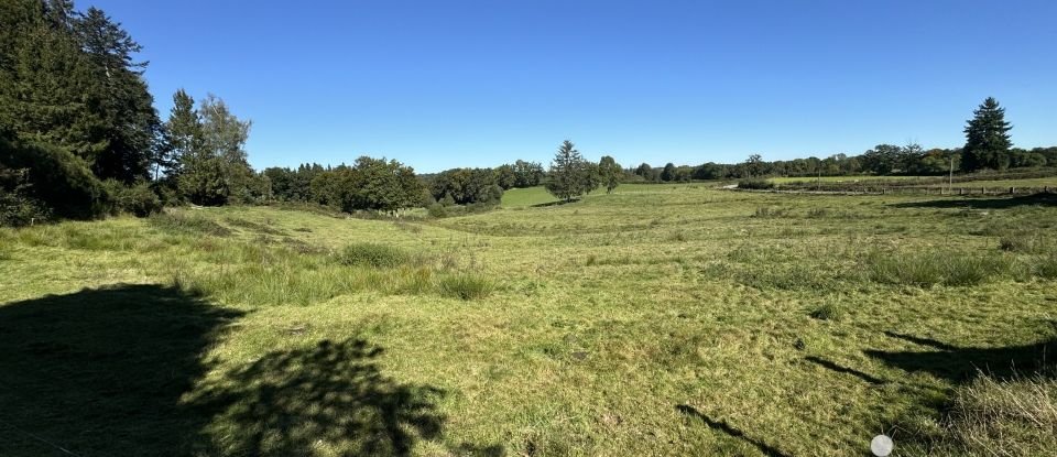 Longère 6 pièces de 130 m² à Saint-Avit (63380)